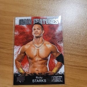 AEW Upper Deck Main Features Ricky Starks Card